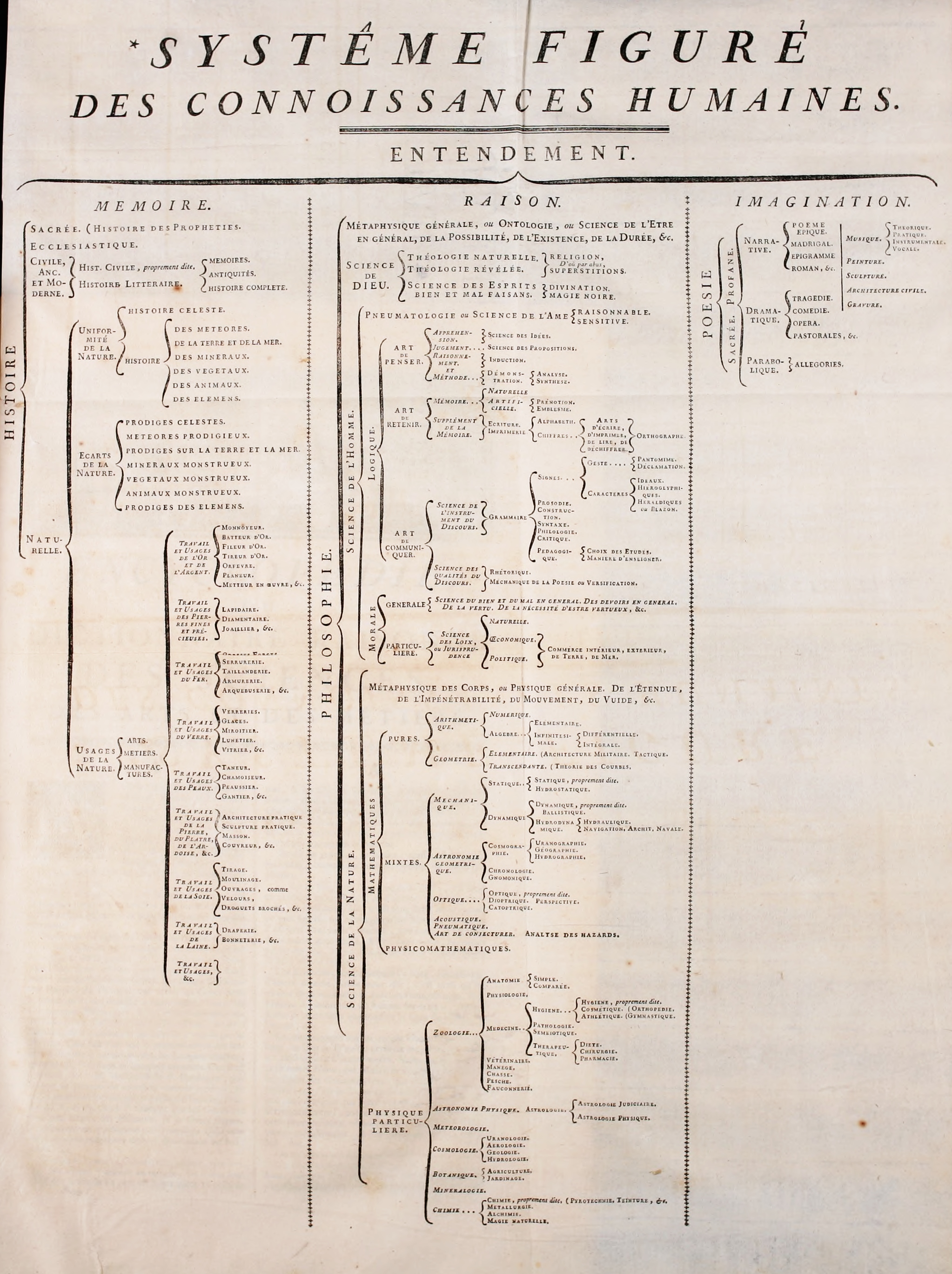 Árvore enciclopédica do conhecimento em gravura histórica